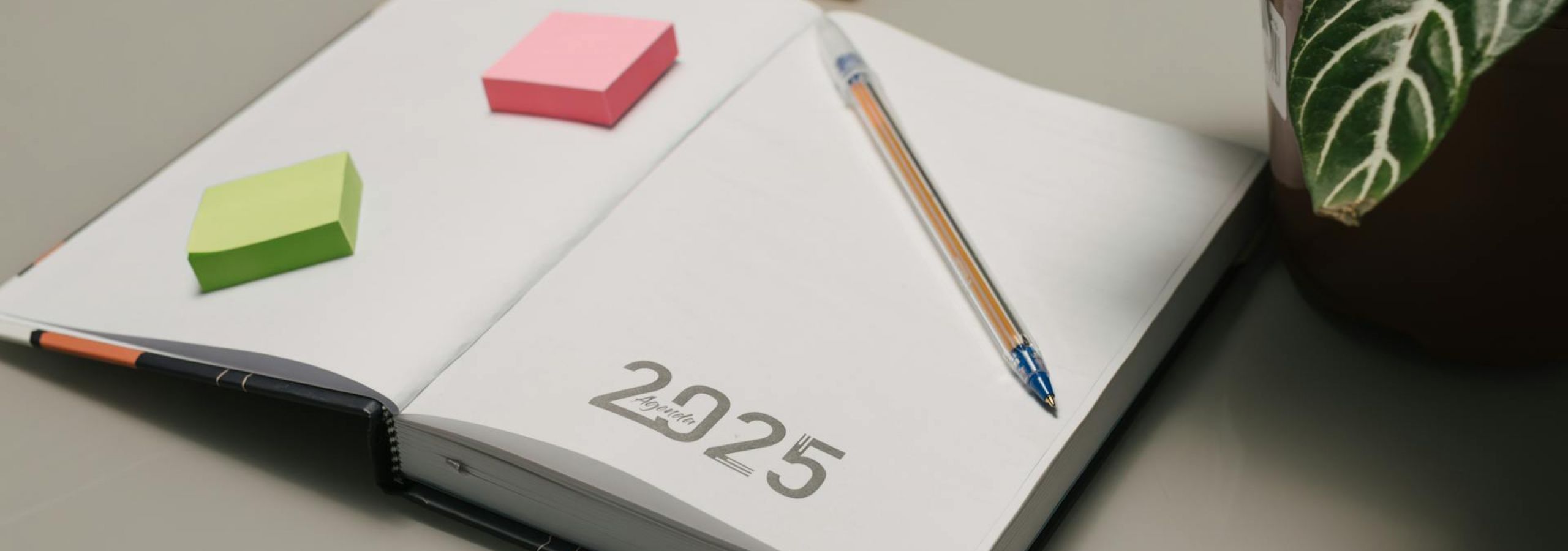 Annual Tax Adjustments